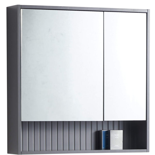 Latitude Run® Asahel 27.75'' W 30'' H Surface Mount Framed Medicine